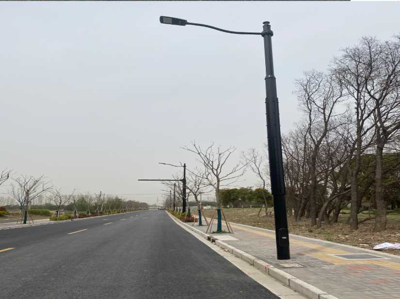 天心区上海综合杆 太阳能路灯工程